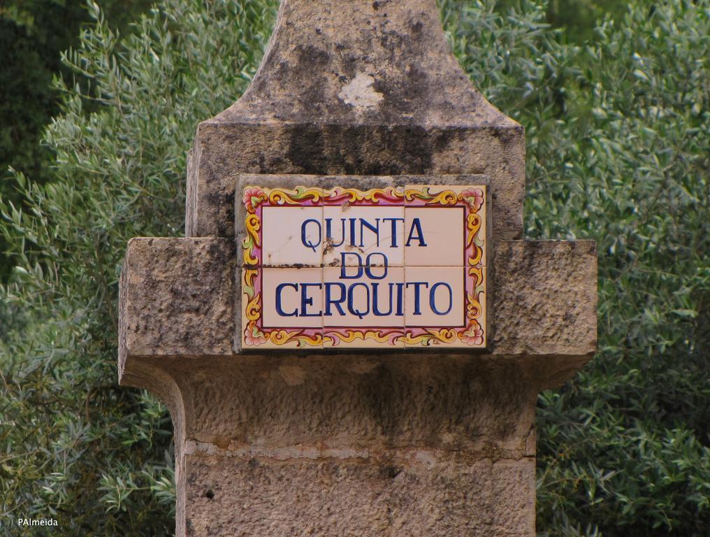 Villa Quinta Do Cerquito à Ferreira do Zêzere Extérieur photo